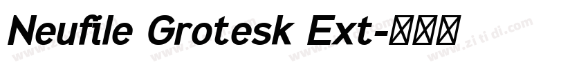 Neufile Grotesk Ext字体转换